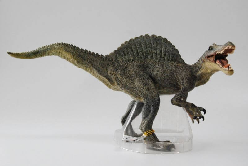大人の恐竜模型館 Papo スピノサウルス 恐竜フィギュア レビュー