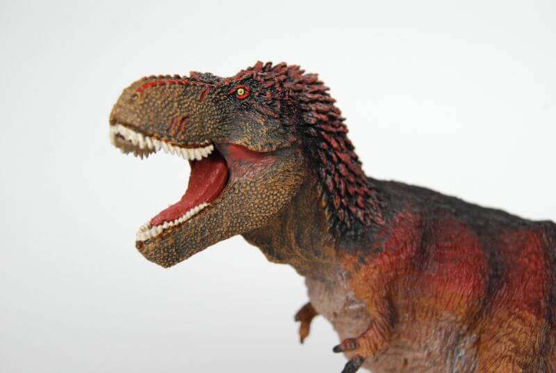 羽毛ティラノサウルス（Safari）レビュー | 大人の恐竜模型館
