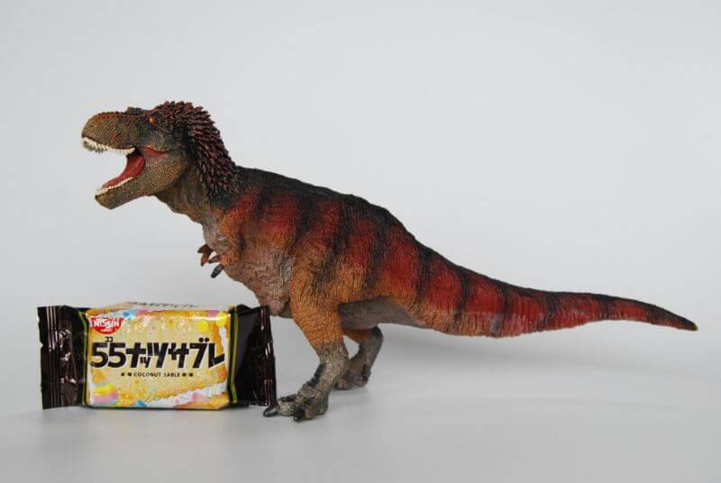 大人の恐竜模型館 Safari ティラノサウルス 羽毛ティラノサウルス 恐竜フィギュア レビュー