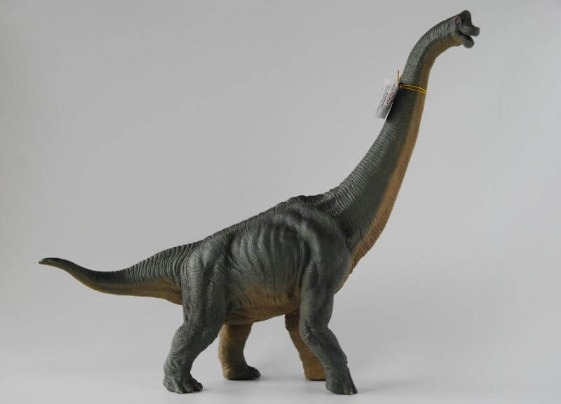 大人の恐竜模型館ーブラキオサウルス（Papo）レビュー | 大人の恐竜模型館