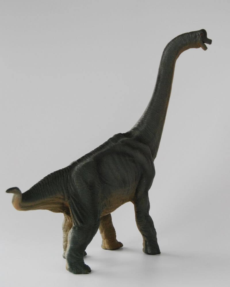 大人の恐竜模型館 Papo ブラキオサウルス 恐竜フィギュア レビュー