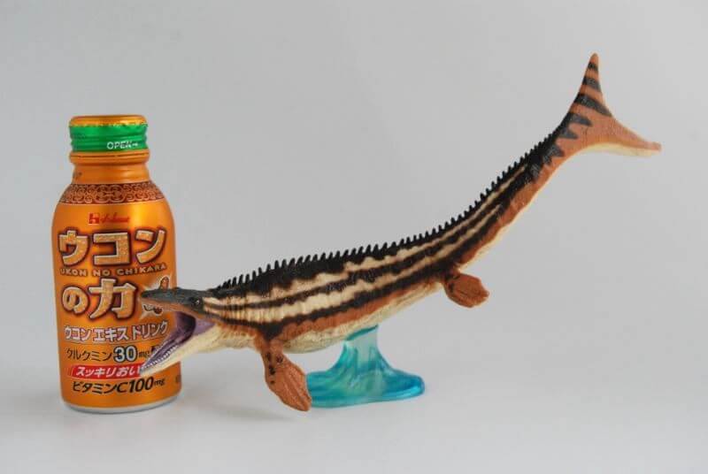 大人の恐竜模型館 フェバリット Favorite モササウルス 恐竜フィギュア レビュー