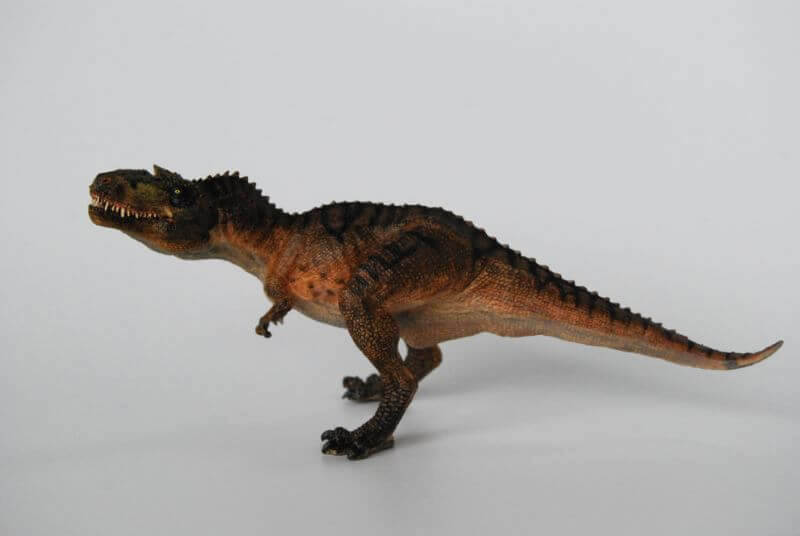 大人の恐竜模型館 Papo ゴルゴサウルス  恐竜フィギュア レビュー