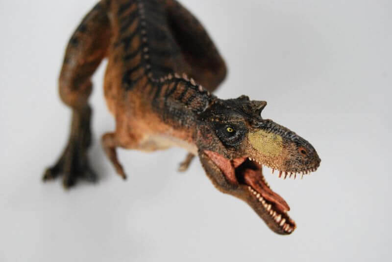 大人の恐竜模型館 Papo ゴルゴサウルス  恐竜フィギュア レビュー