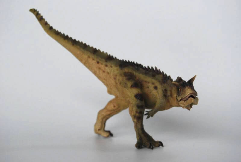 大人の恐竜模型館 Papo カルノタウルス レビュー