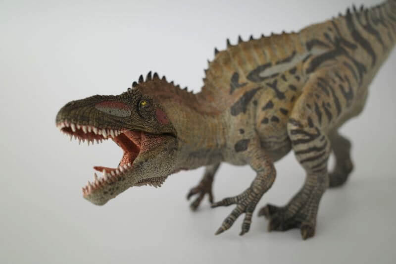 大人の恐竜模型館 Papo アクロカントサウルス 恐竜フィギュア レビュー