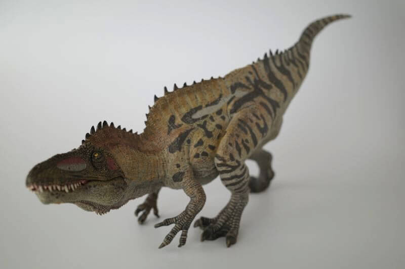 大人の恐竜模型館 Papo アクロカントサウルス 恐竜フィギュア レビュー