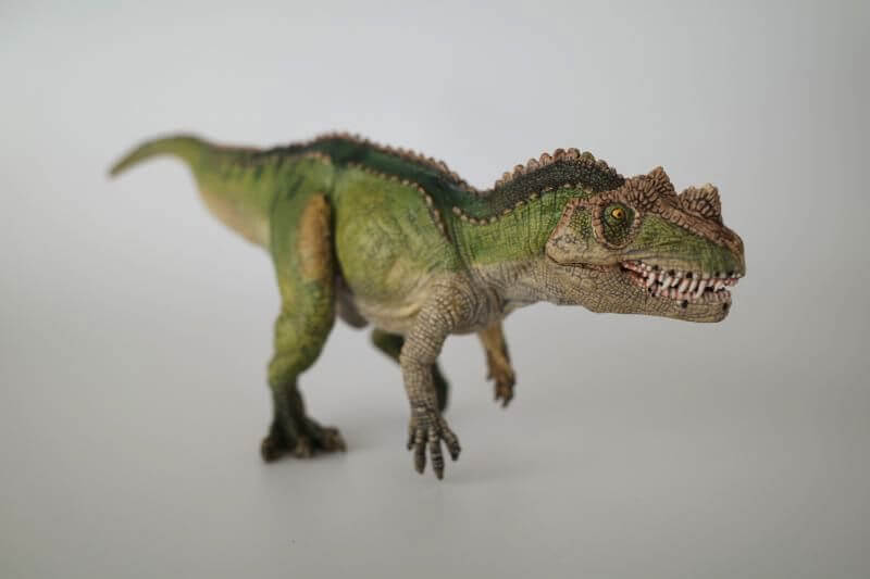 大人の恐竜模型館 Papo ケラトサウルス 恐竜フィギュア レビュー