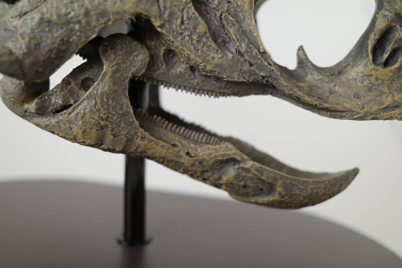 大人の恐竜模型館 フェバリット Favorite トリケラトプス スケルトン 恐竜フィギュア レビュー