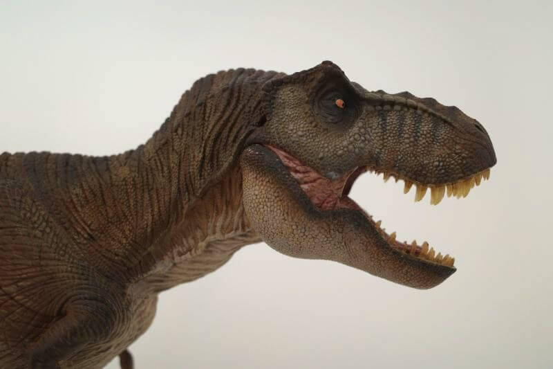 ティラノサウルス（Nanmu Studio）レビュー | 大人の恐竜模型館