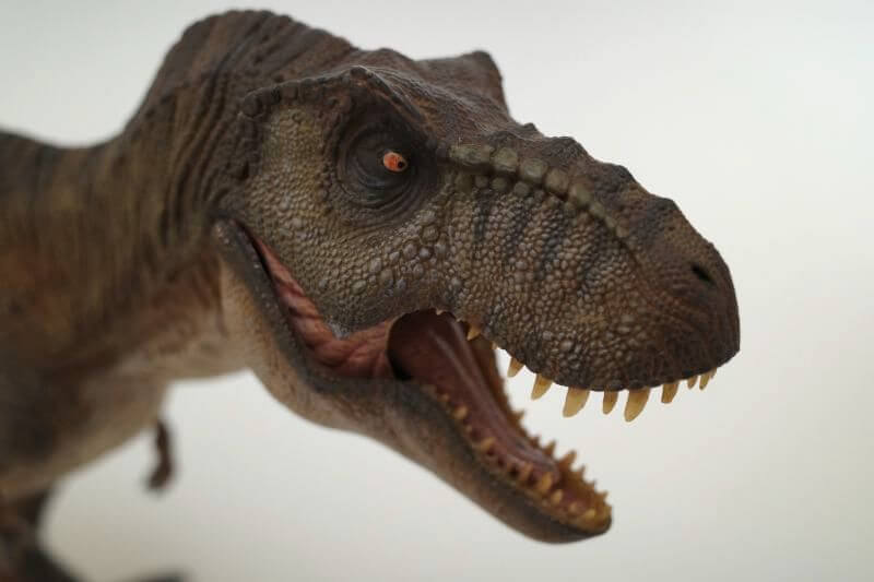 大人の恐竜模型館 Nanmu ティラノサウルス 恐竜フィギュア レビュー