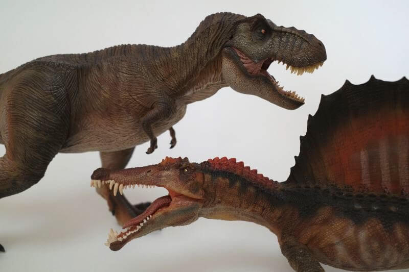ティラノサウルス（Nanmu Studio）レビュー | 大人の恐竜模型館