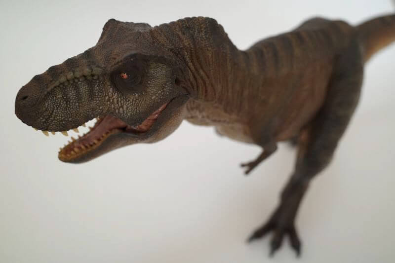 大人の恐竜模型館 Nanmu ティラノサウルス 恐竜フィギュア レビュー