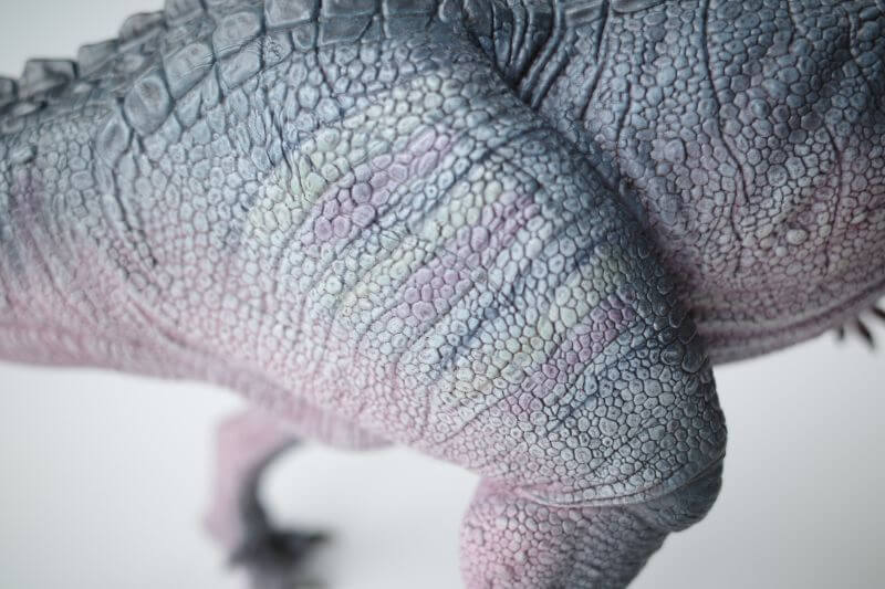大人の恐竜模型館 Nanmu ギガノトサウルス 恐竜フィギュア レビュー