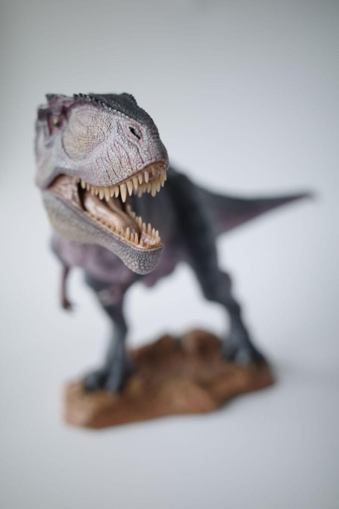 ギガノトサウルス（Nanmu Studio）レビュー | 大人の恐竜模型館