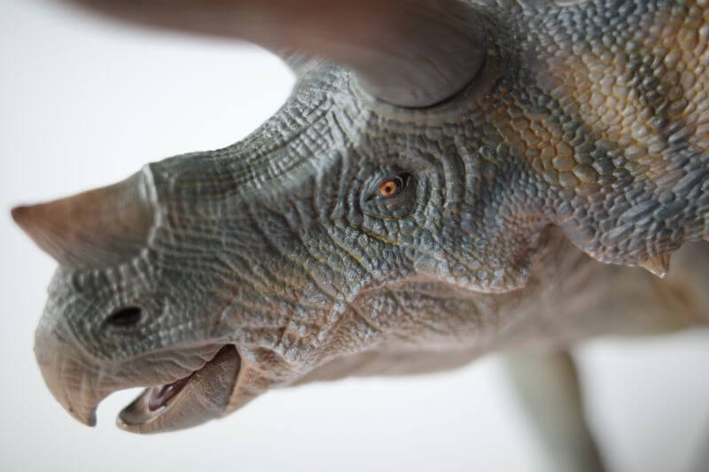 大人の恐竜模型館 Nanmu トリケラトプス 恐竜フィギュア レビュー