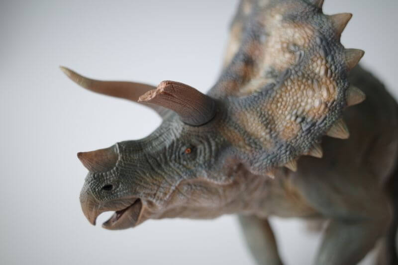大人の恐竜模型館 Nanmu トリケラトプス 恐竜フィギュア レビュー